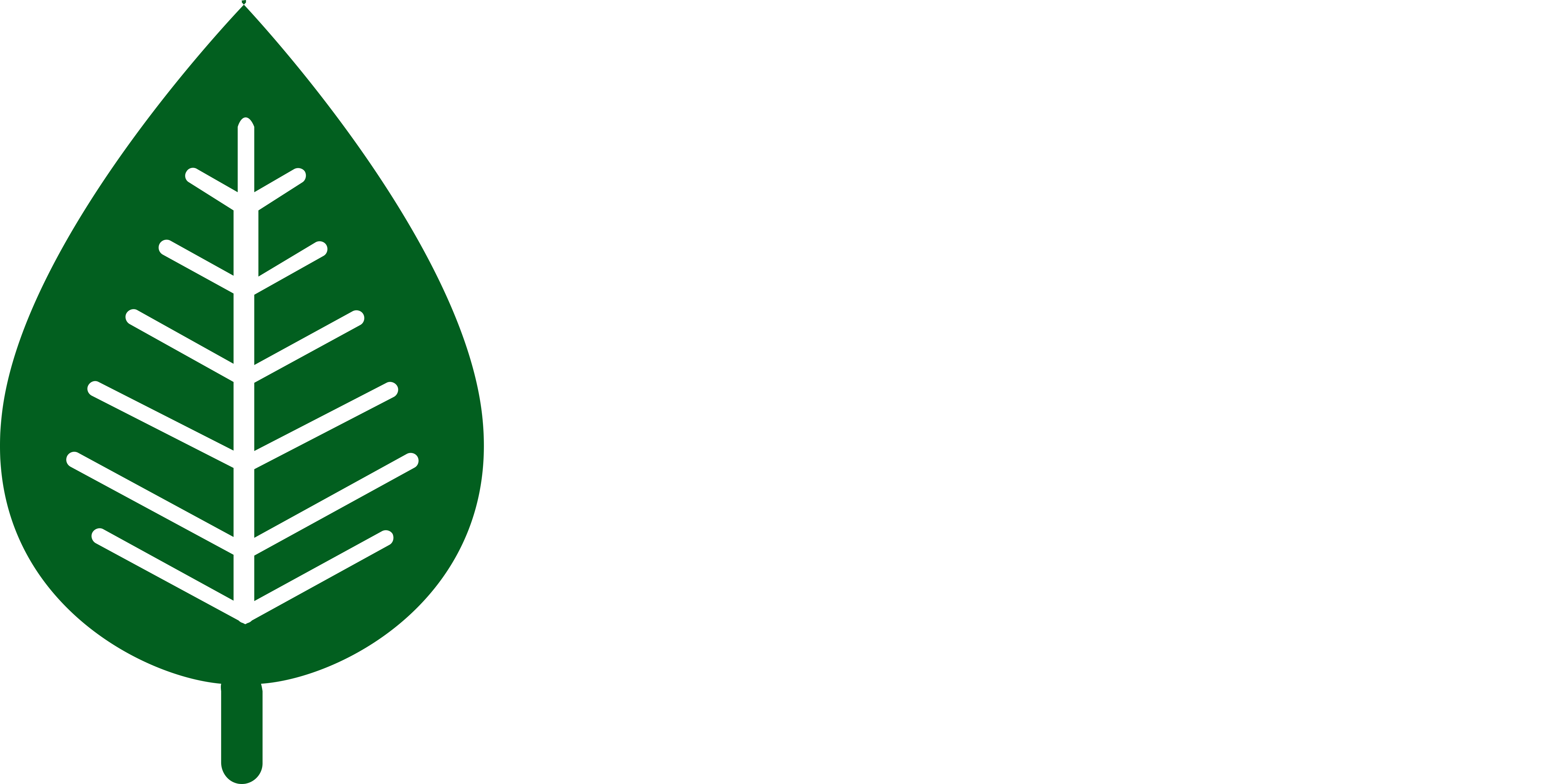 Alyon Nursery and Reclamation