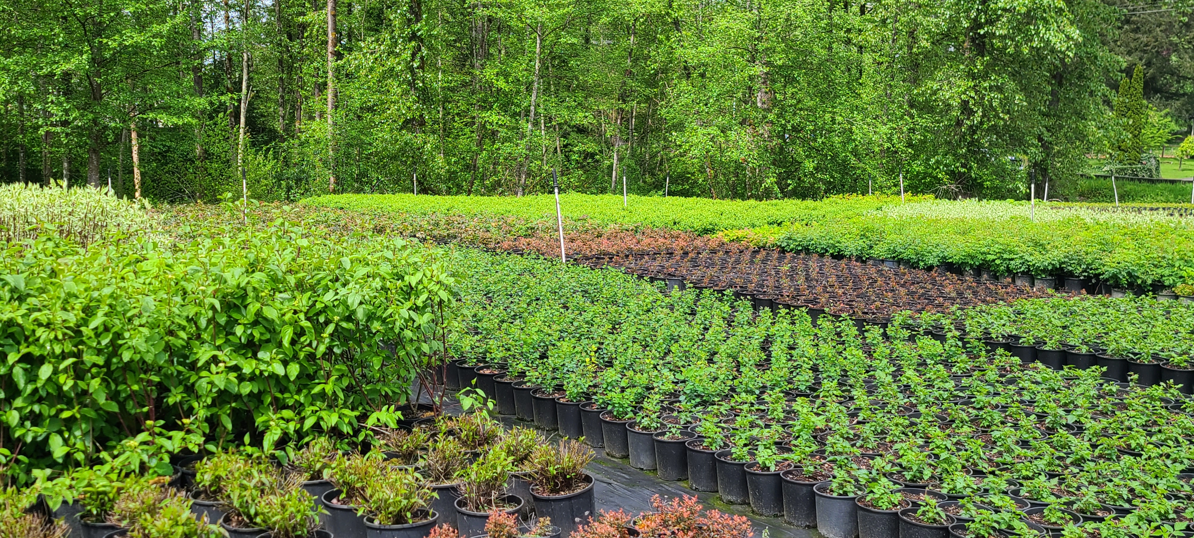 Contract Growing Services