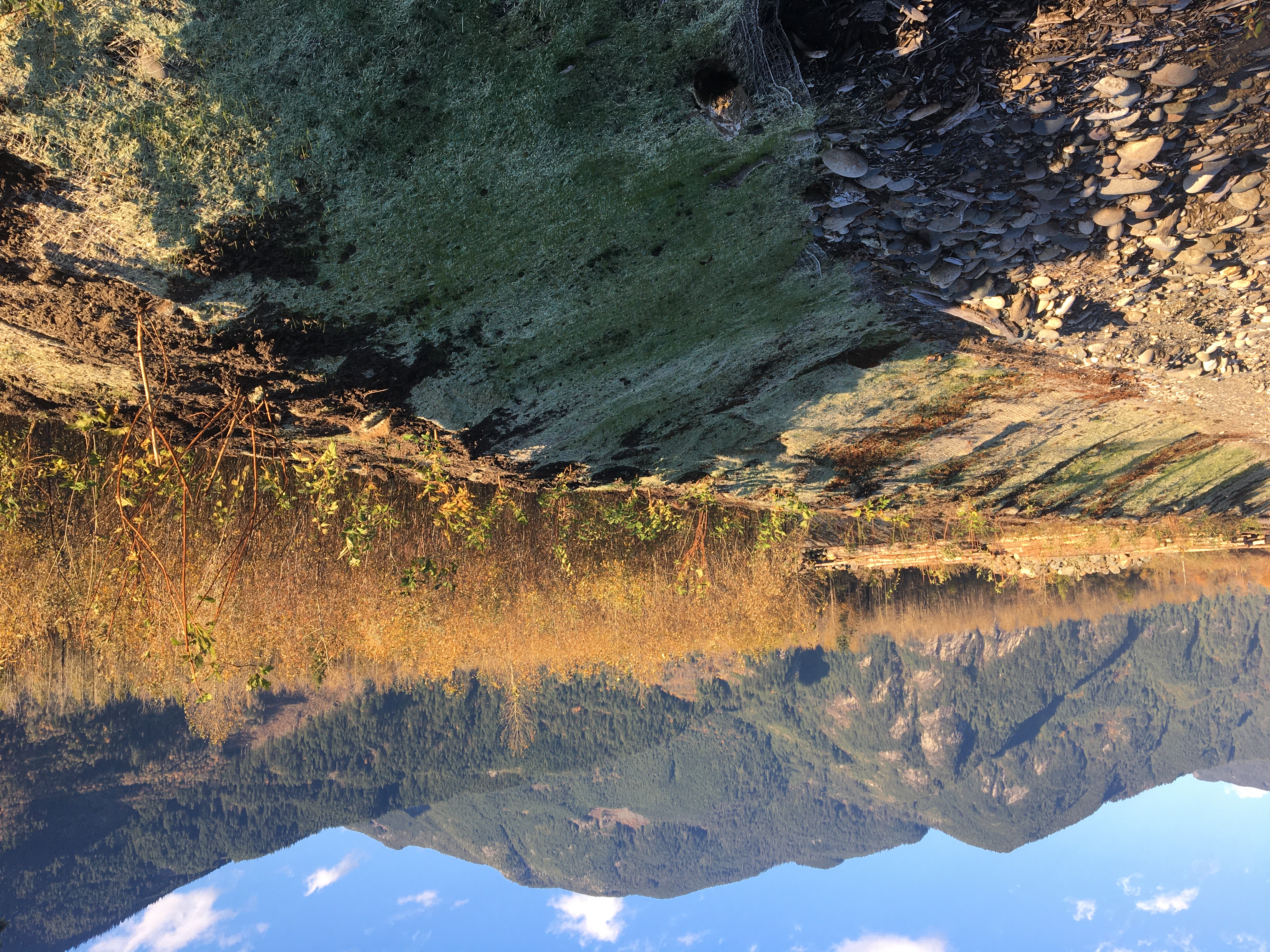 Erosion Control & Revegetation